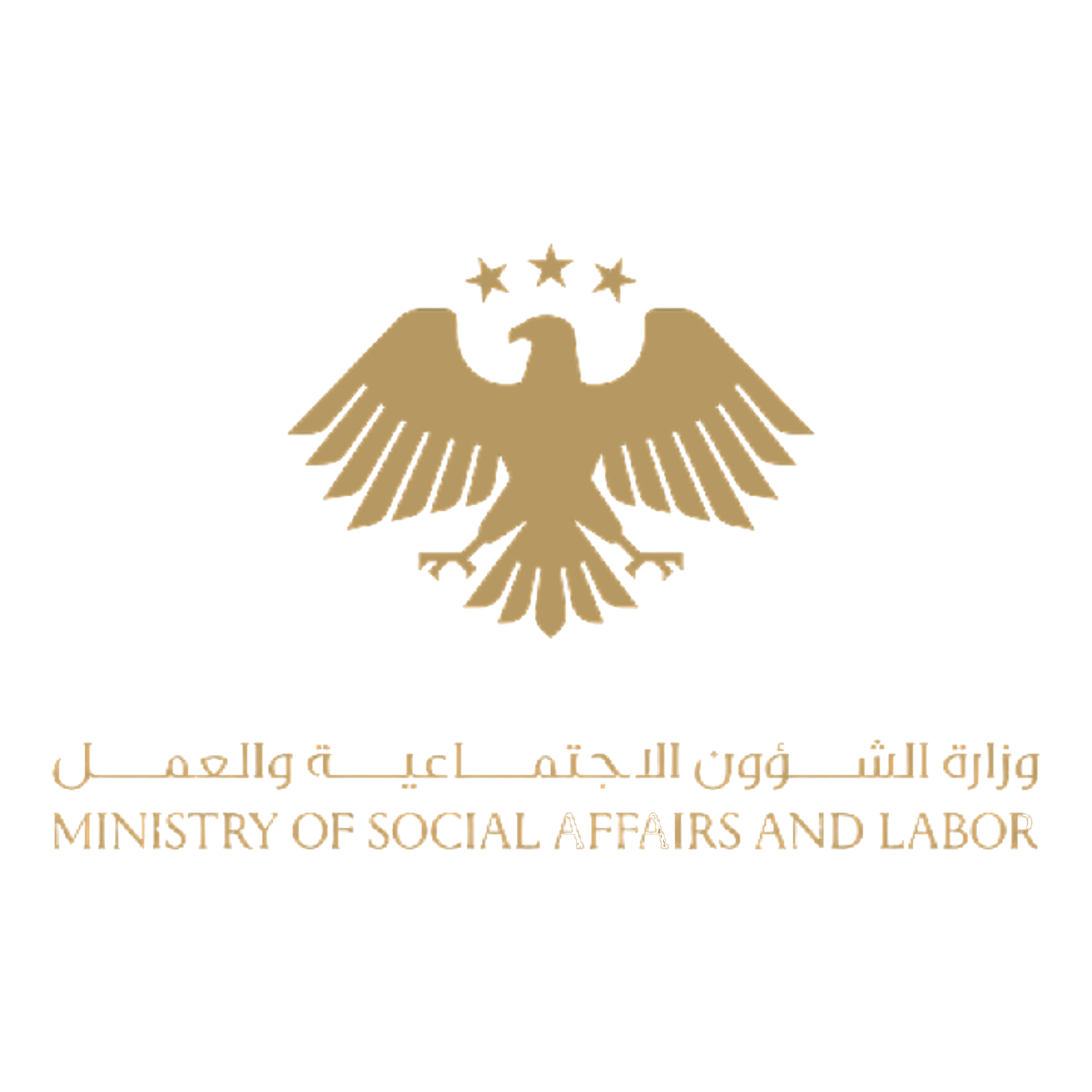 MINSTRY OF SOCIAL AFFAIRS AND LABOR